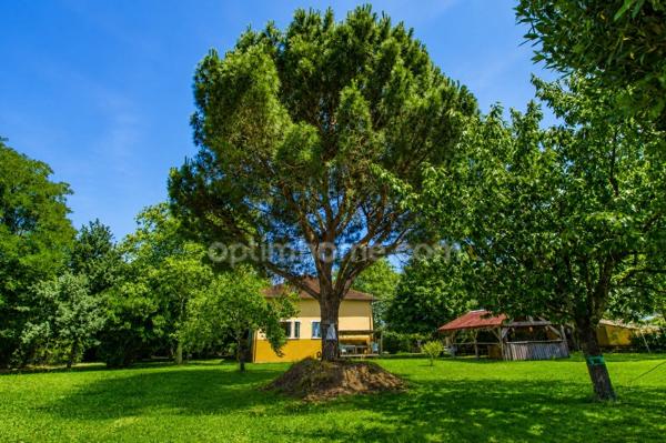 MURET-OX – PROPRIÉTÉ DE CARACTÈRE DES ANNÉES 30 – 230 m² – PARC ARBORÉ DE 4 707 m² – DÉPENDANCES – CADRE CHAMPÊTRE EXCEPTIONNEL