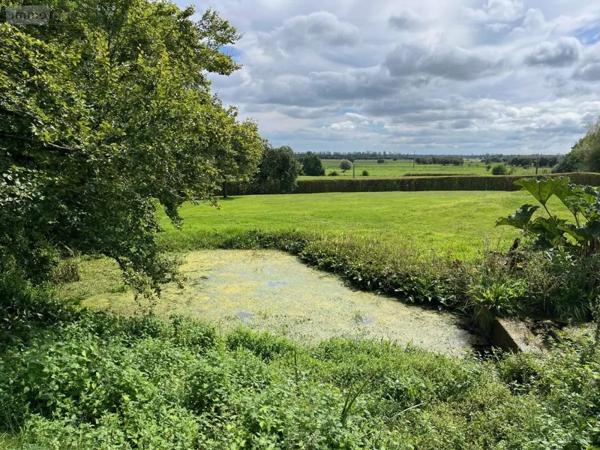 Achat - Maison Carentan-les-Marais 50480 7 pièces 208 m 2
