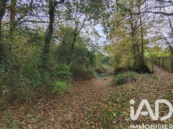 Terrain à vendre 6 016 m² Nouvoitou