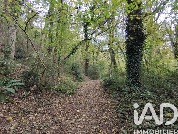 Terrain à vendre 6 016 m² Nouvoitou