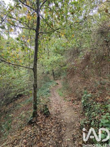 Terrain à vendre 6 016 m² Nouvoitou