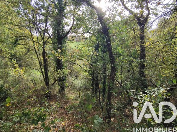 Terrain à vendre 6 016 m² Nouvoitou