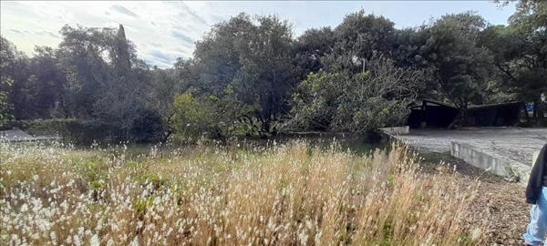 Terrain à vendre |  Saint-Gély-du-Fesc |  1030 m²