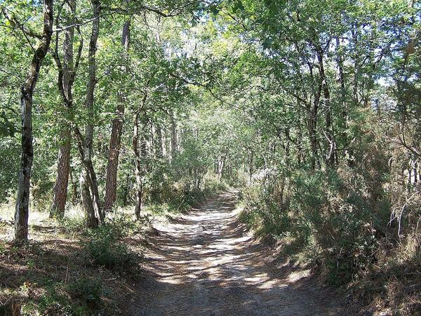 Terrain  en vente - Charente-Maritime - 17