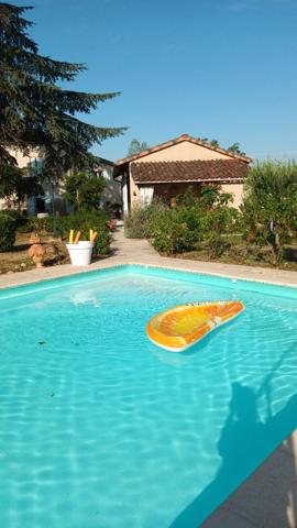 Lisle-sur-Tarn . Domaine de charme d'exception (T6 + Gîte T3)