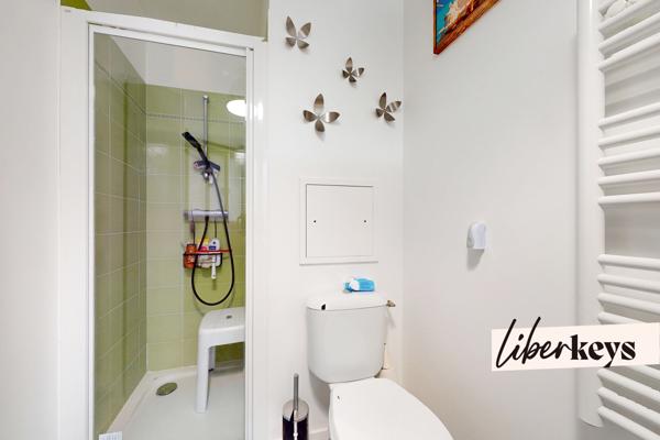 Grand studio 31 m² dernier étage terrasse parking Orly Fer à Cheval