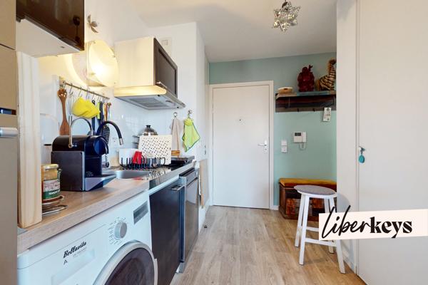 Grand studio 31 m² dernier étage terrasse parking Orly Fer à Cheval