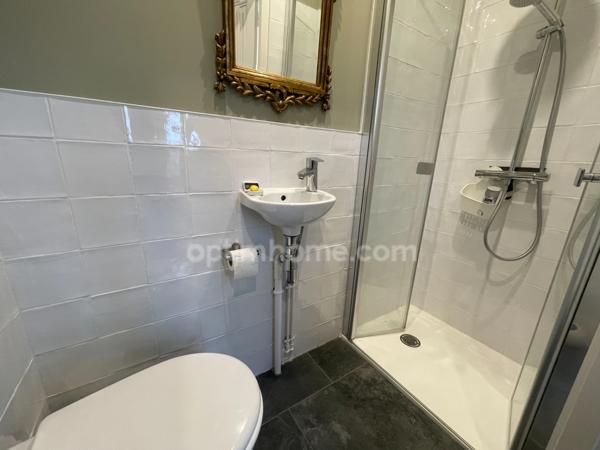 maison  de charme- granges attenantes et 3000 m2 de terrain