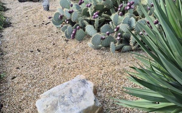 Maison à vendre    3 pièces •  Pouancé