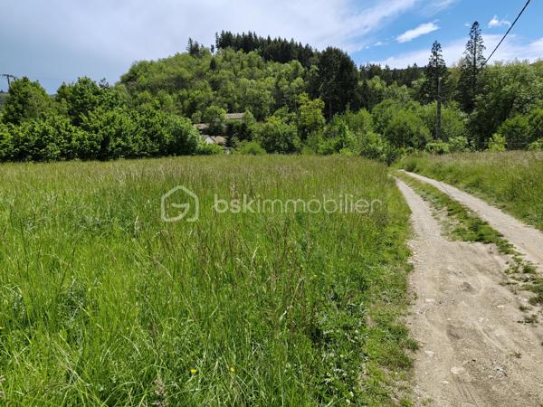 Exclusivité: Saint Jean du Bruel, sur le Hameau de Seingleys terrain constructible de 2875 m² plat, exposition sud hors lotissement, chemin d'accès et réseaux en bordure. Votre contact JAYET Guy au 0611566624