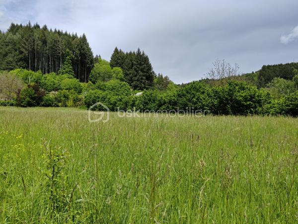 Exclusivité: Saint Jean du Bruel, sur le Hameau de Seingleys terrain constructible de 2875 m² plat, exposition sud hors lotissement, chemin d'accès et réseaux en bordure. Votre contact JAYET Guy au 0611566624