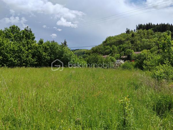 Exclusivité: Saint Jean du Bruel, sur le Hameau de Seingleys terrain constructible de 2875 m² plat, exposition sud hors lotissement, chemin d'accès et réseaux en bordure. Votre contact JAYET Guy au 0611566624