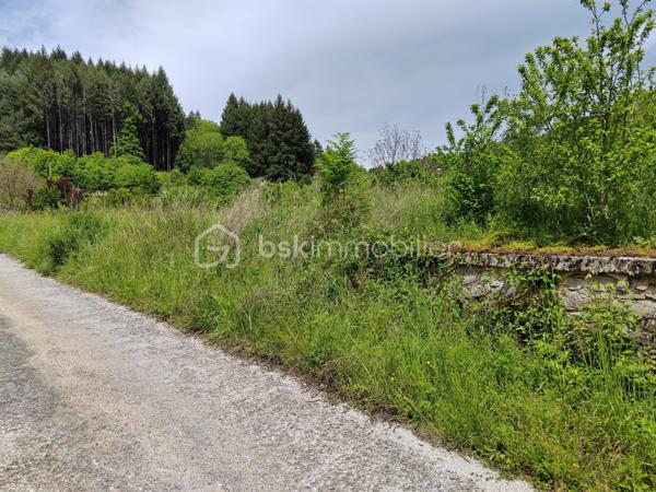 Exclusivité: Saint Jean du Bruel, sur le Hameau de Seingleys terrain constructible de 2875 m² plat, exposition sud hors lotissement, chemin d'accès et réseaux en bordure. Votre contact JAYET Guy au 0611566624