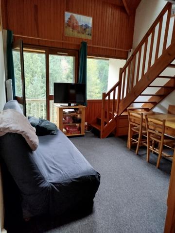 T2 en duplex face à la forêt