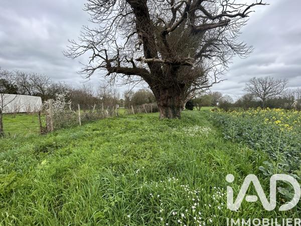 Terrain à vendre 600 m² Nort-sur-Erdre