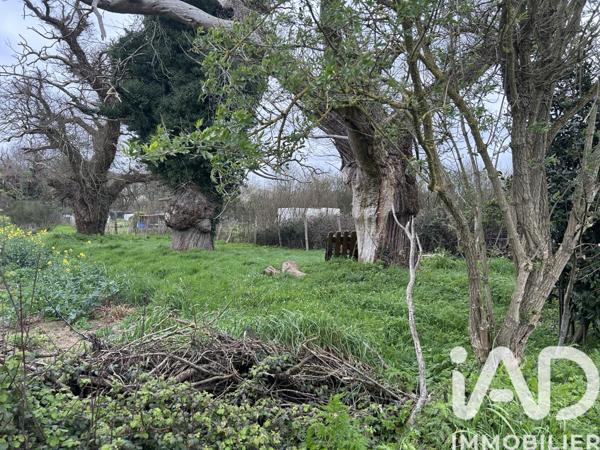 Terrain à vendre 600 m² Nort-sur-Erdre