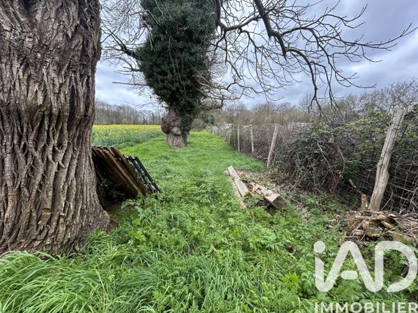 Terrain à vendre 600 m² Nort-sur-Erdre
