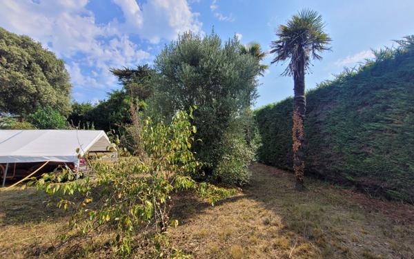 Terrain à vendre