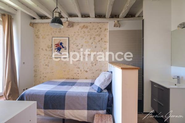 Propriété de 350m2 : Maison de prestige + 2 logements indépendants