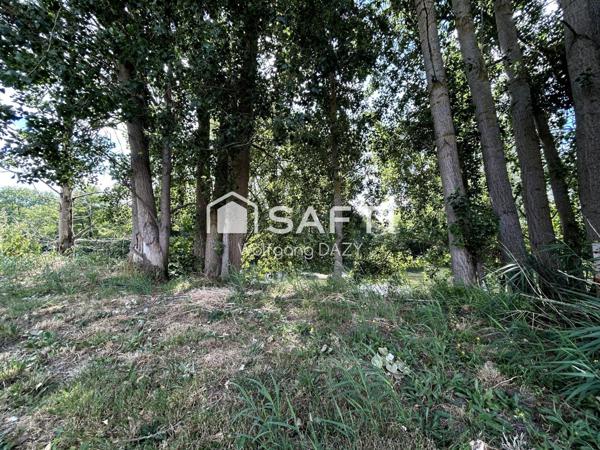 Terrain de loisir au bord du Clain