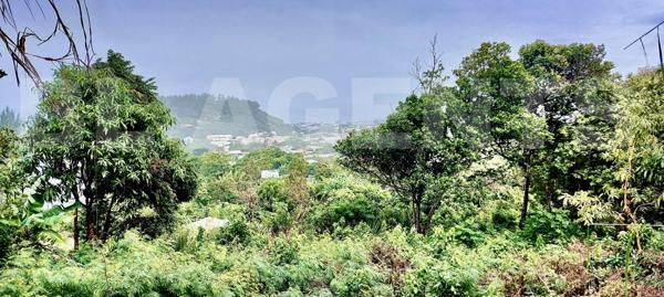 Terrain constructible de 785 m² – Saint-Joseph, Jean-Petit Les bas