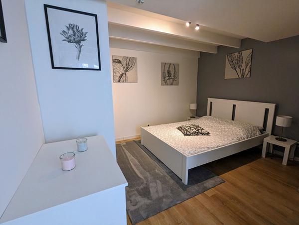 AGEN CENTRE VILLE - Charmante maison de ville avec garage, terrasse et appartement indépendant quartier calme.