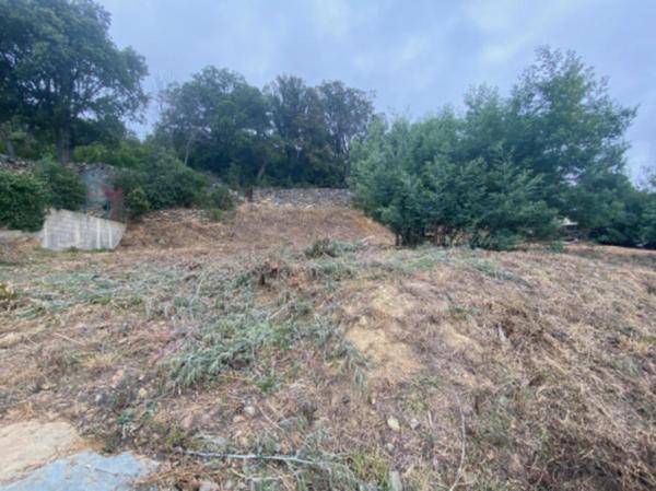 Terrain avec permis de construire à Brando : Une rareté à saisir