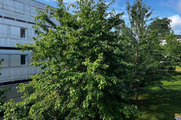 Louer appartement 3 pièces de 66 m²
