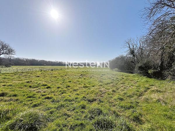 ENSEMBLE DE DEUX MAISONS EN PIERRE A RENOVER - MOELAN SUR MER - BRIGNEAU