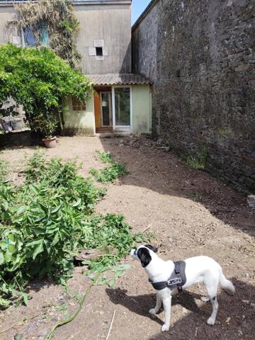 OPPORTUNITE INVESTISSEMENT LOCATIF.... Saint-Thuriau (56300)