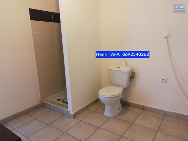 Beau et grand studio de 3,97 m2 libre de toute occupation et vue mer