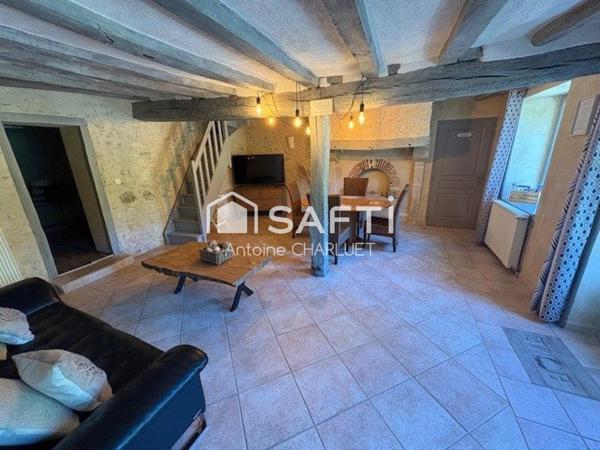 COUP DE CŒUR – PERLE RARE EN CAMPAGNE DE CHÂTILLON-SUR-INDRE ! 255 m² – 4 chambres – Terrain  6635 m²