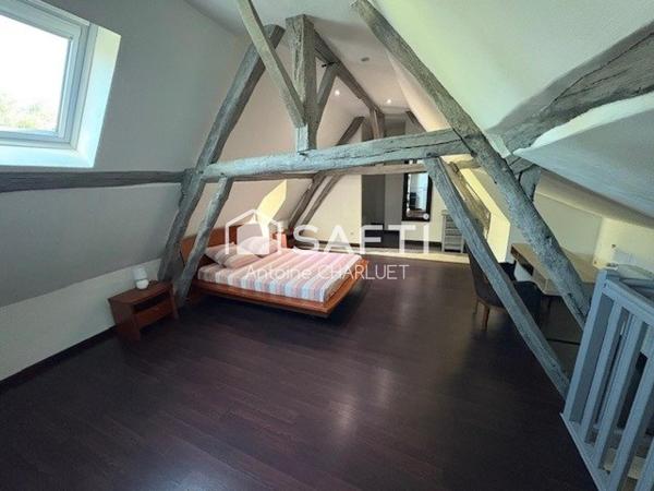 COUP DE CŒUR – PERLE RARE EN CAMPAGNE DE CHÂTILLON-SUR-INDRE ! 255 m² – 4 chambres – Terrain  6635 m²