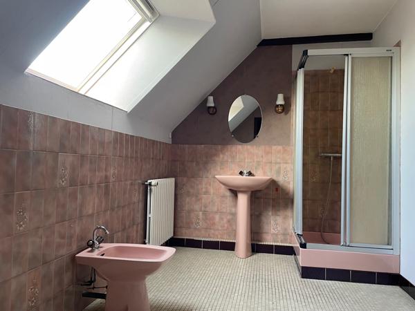 Goudelin (22290) Bien immobilier de 242 m² dont 110 habitables.