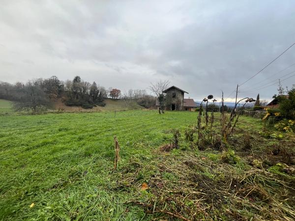 Terrain à bâtir