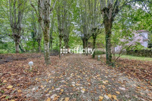 Maison 8 pièces - 270 m² Bien prestige