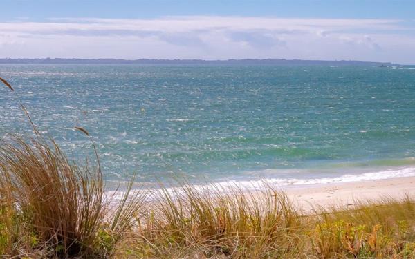 Appartement à louer    3 pièces • 45,16 m2 Larmor-Plage