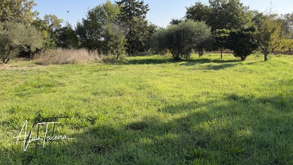 Maison à Rénover – Gonfaron (83590)