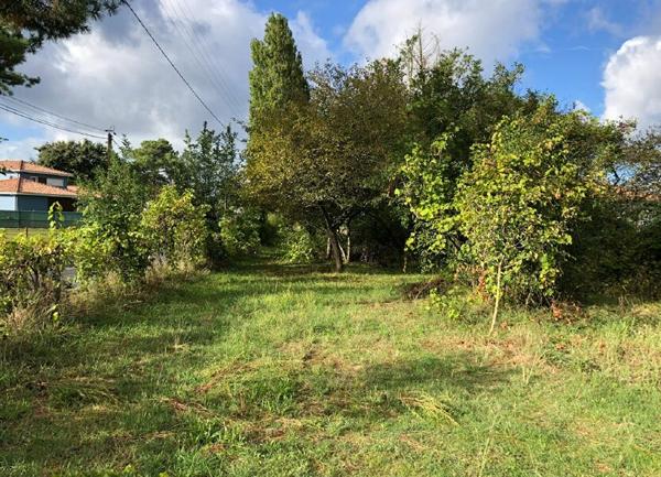 Terrain à vendre    La Tremblade