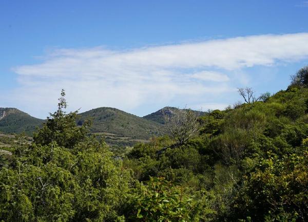 Terrain à vendre    Cascastel-des-Corbières