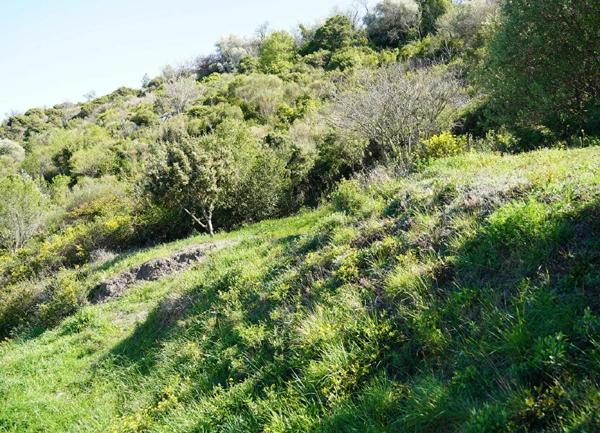 Terrain à vendre    Cascastel-des-Corbières