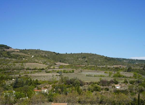 Terrain à vendre    Cascastel-des-Corbières