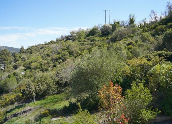 Terrain à vendre    Cascastel-des-Corbières