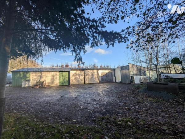 Maison de plain-pied, très lumineuse, avec dépendances , étang et terrain boisé