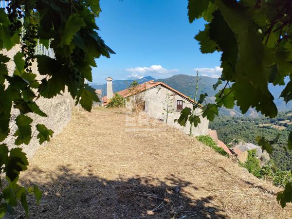 À VENDRE !Maison de Village avec Jardin et Vue Montagne !Lento (Haute-Corse)