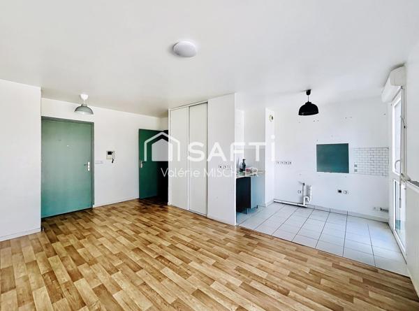 Très beau T3 lumineux et fonctionnel