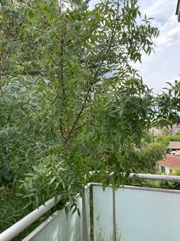 A VENDRE T2 800 M MAIRIE DE TALENCE