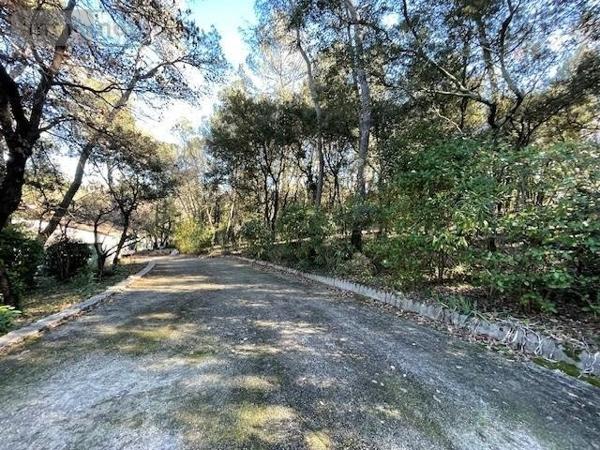 Propriete à vendre à Saint-Clément-de-Rivière dans l'Hérault (34980), ref : 1049906