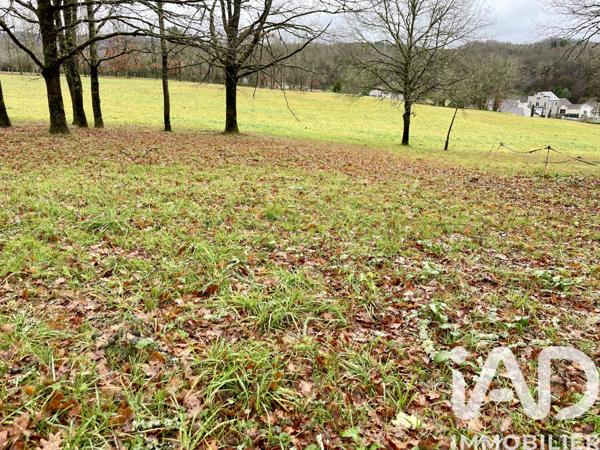 Terrain à vendre 2 216 m² Saint-Pardoux-la-Rivière