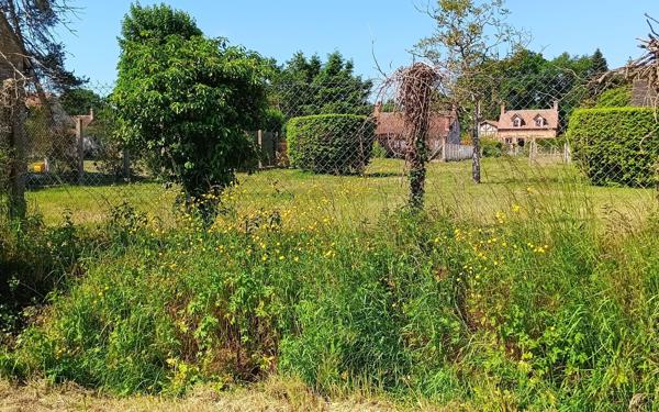 Terrain à vendre    Sennely